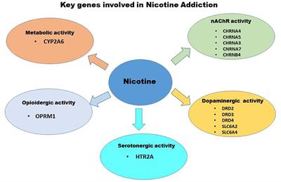 research papers on nicotine addiction